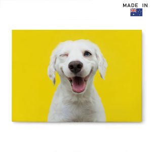 Canvas Print (AU)