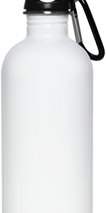 23663 20 oz. Stainless Steel Water Bottle